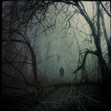 Archives of Khazad-Dum | Christophe Dessaigne - The Moss Cathedral